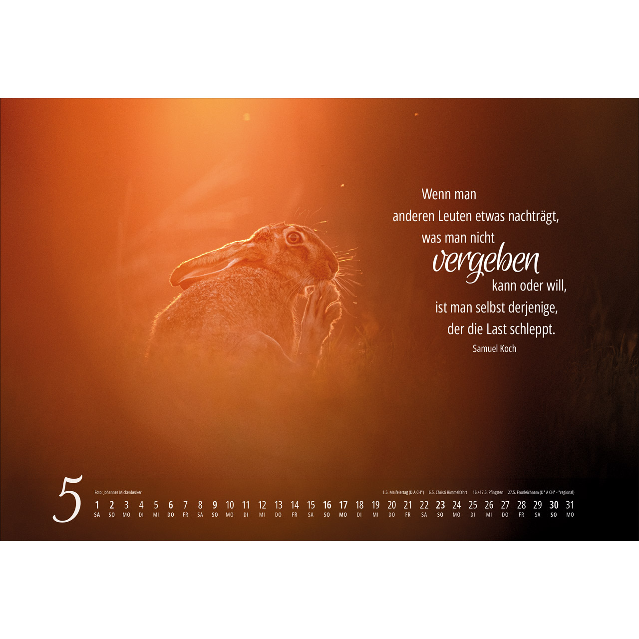 Wandkalender - Real Wildlife 2027