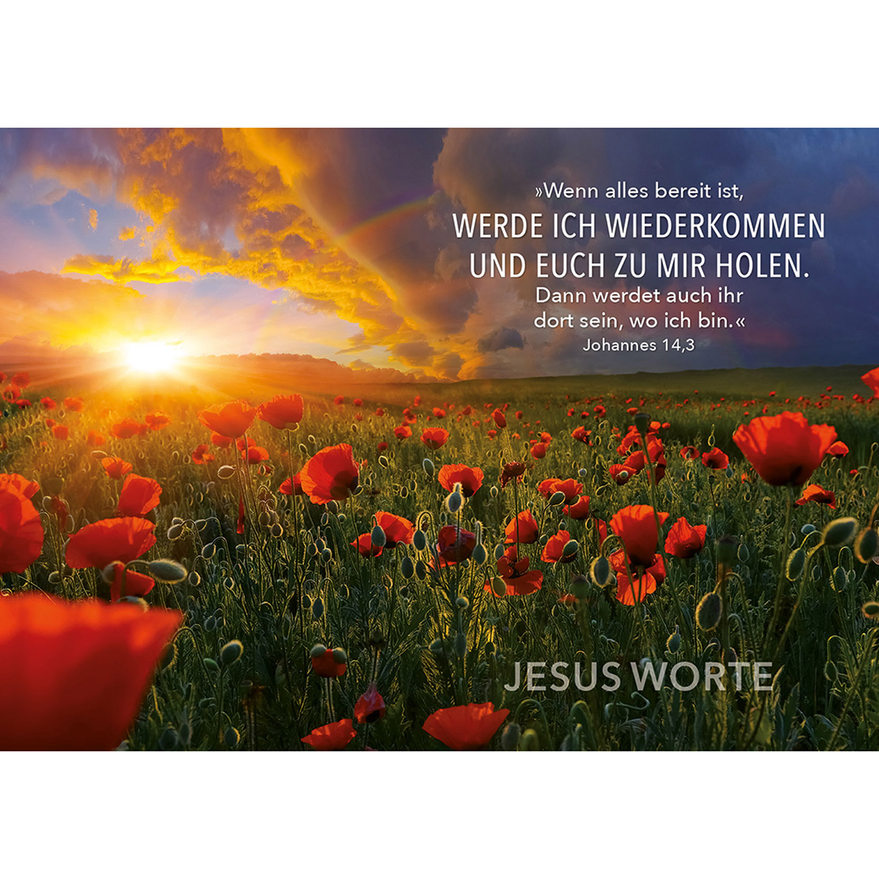 Karten-Aufstell-Etui - Seid ohne Sorge - Sonne Bäume Vögel Vogelschwarm