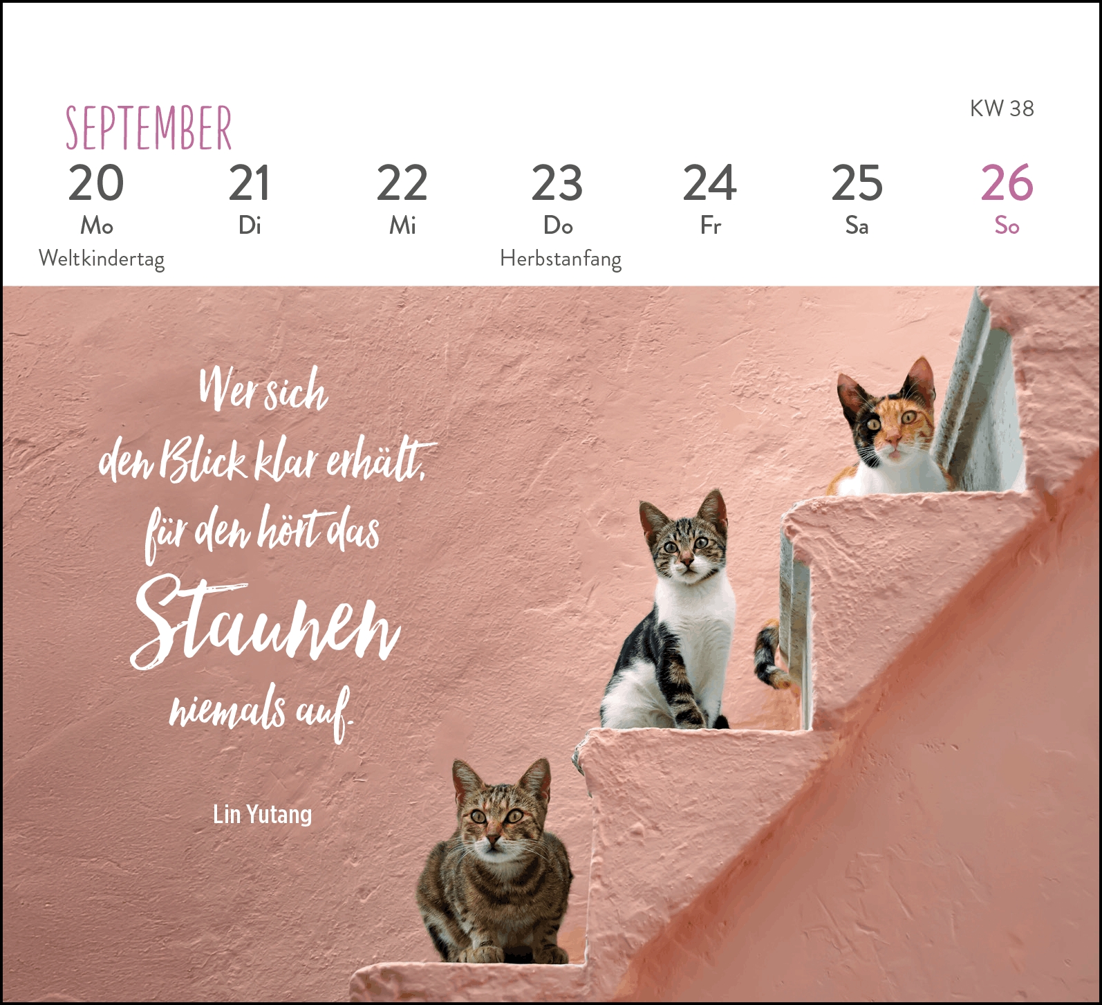 Aufstellkalender - Für Katzenfreunde 2027