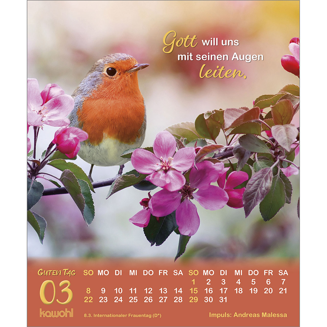 Postkartenkalender - Guten Tag 2026