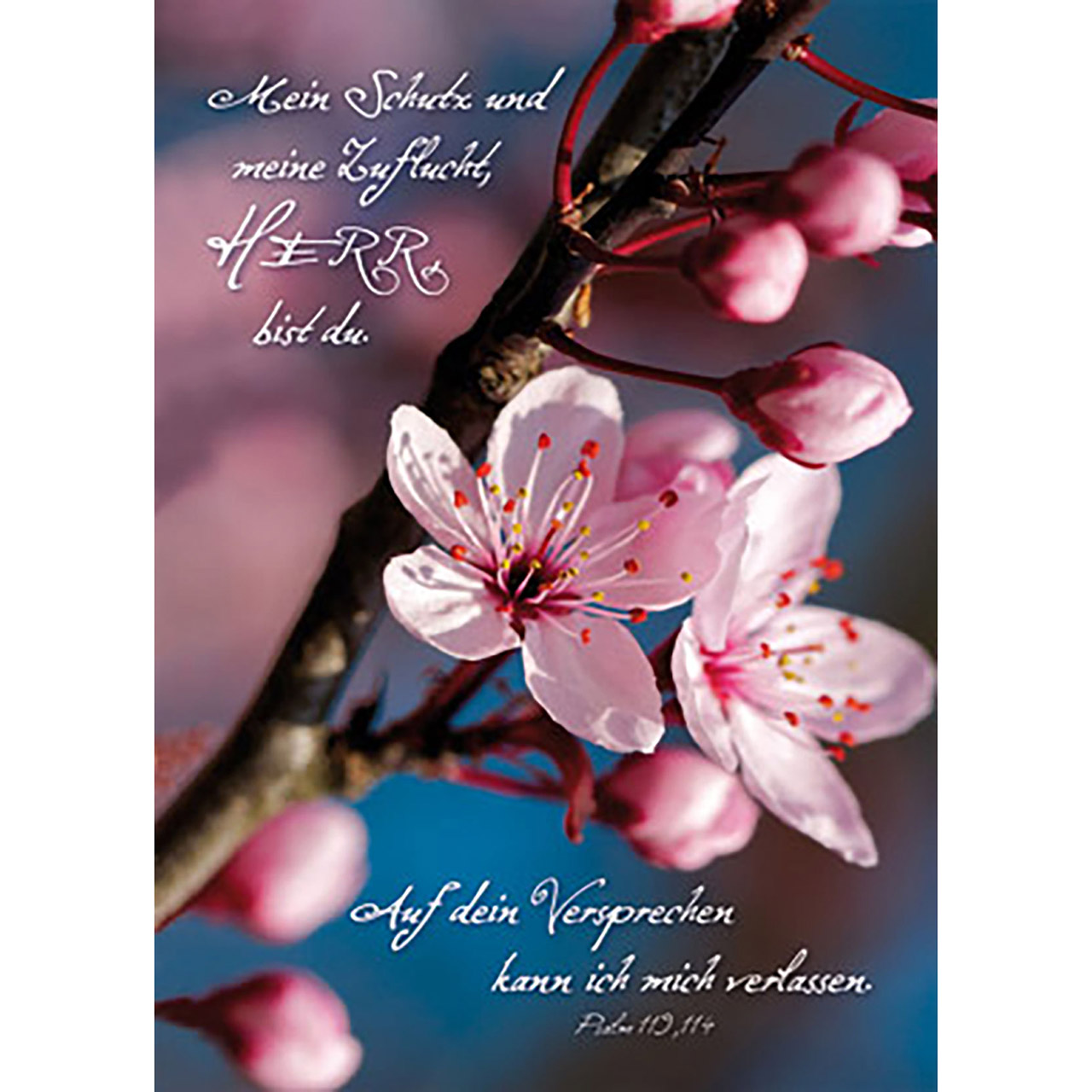 Poster - Mein Schutz - Kirschblüten Knospen