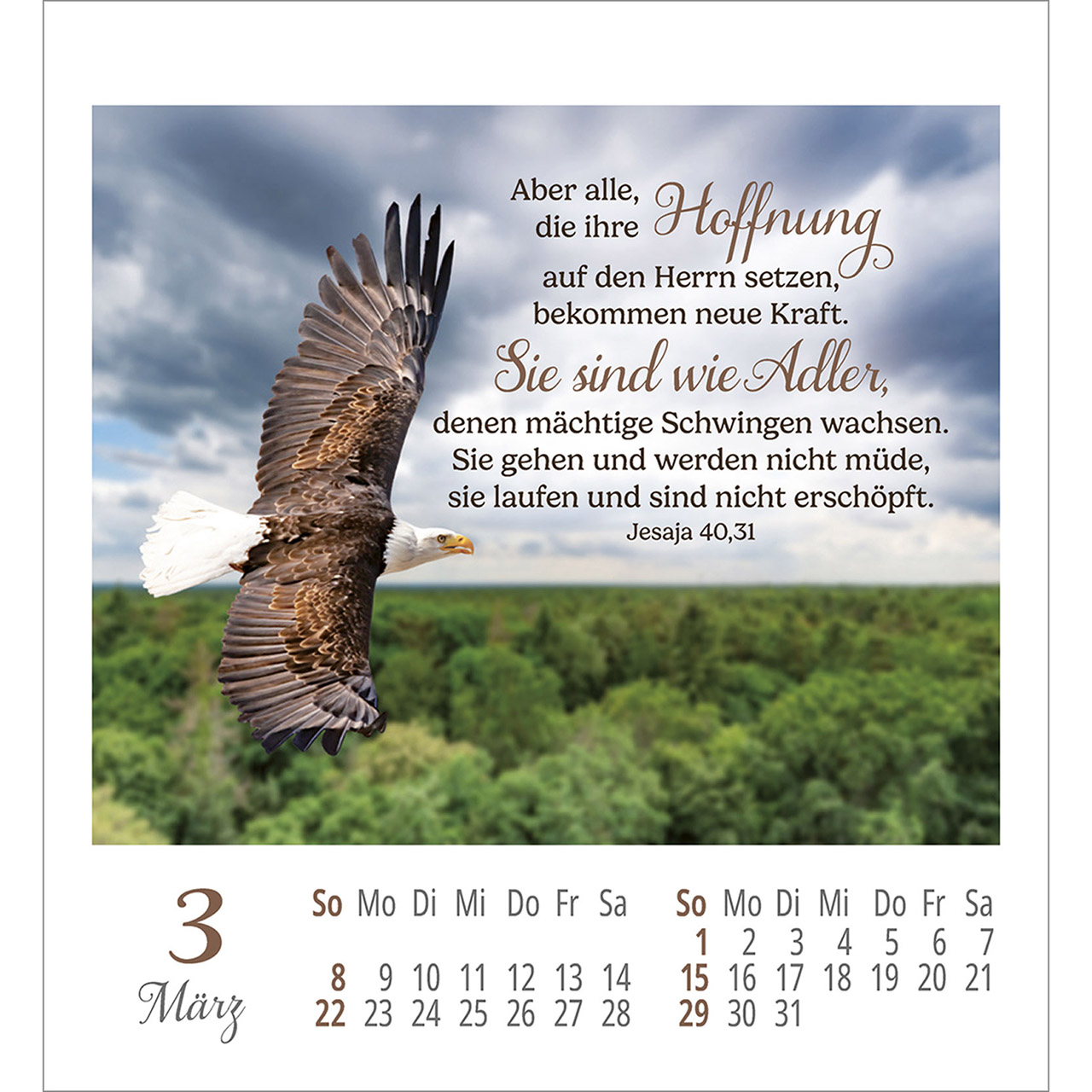 Aufkleberkalender - Lieblingsworte umgeben dich 2026