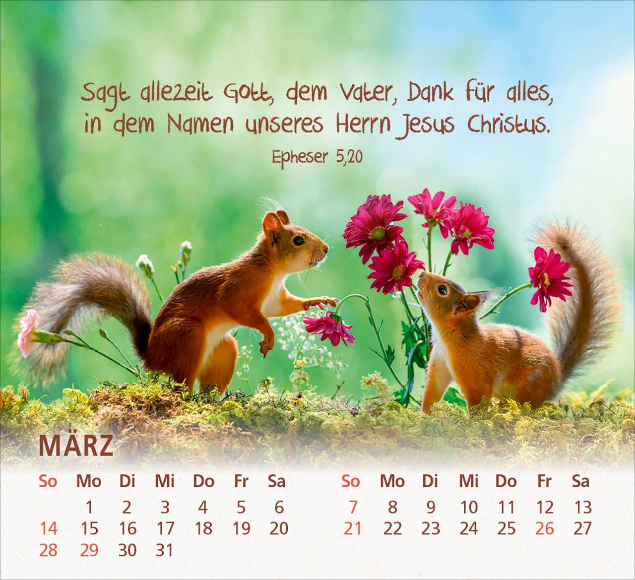 Tischkalender - Du bist meine Freude 2027