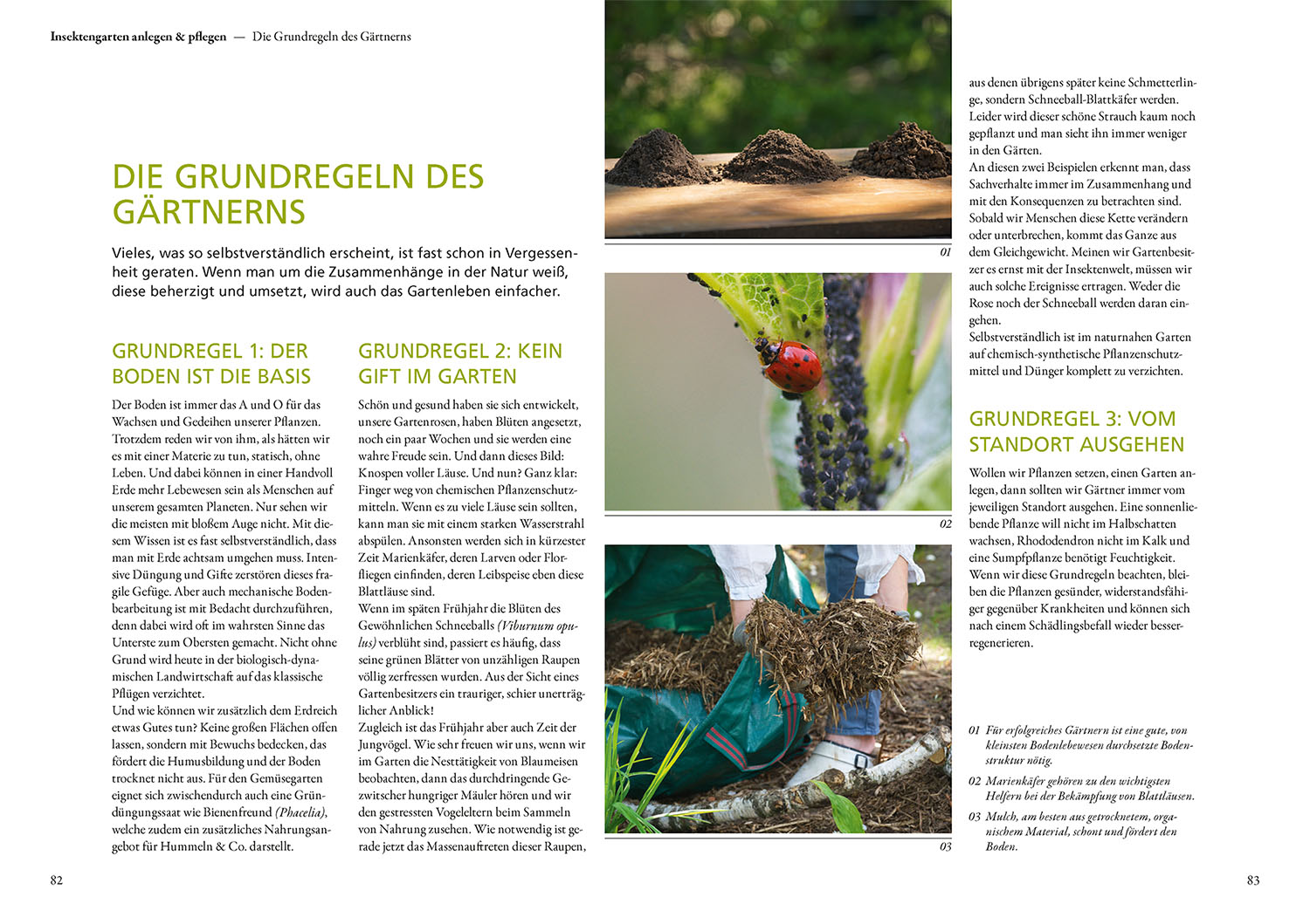 Buch - Mein Garten summt!