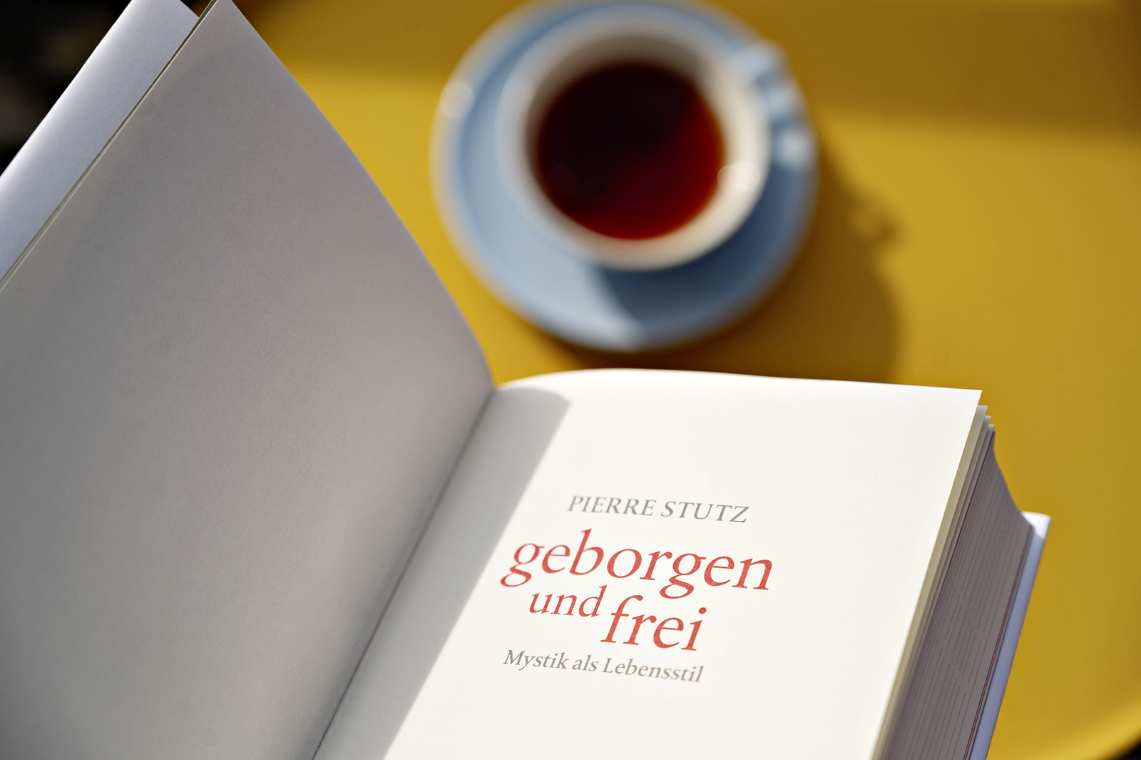 Buch - Geborgen und frei