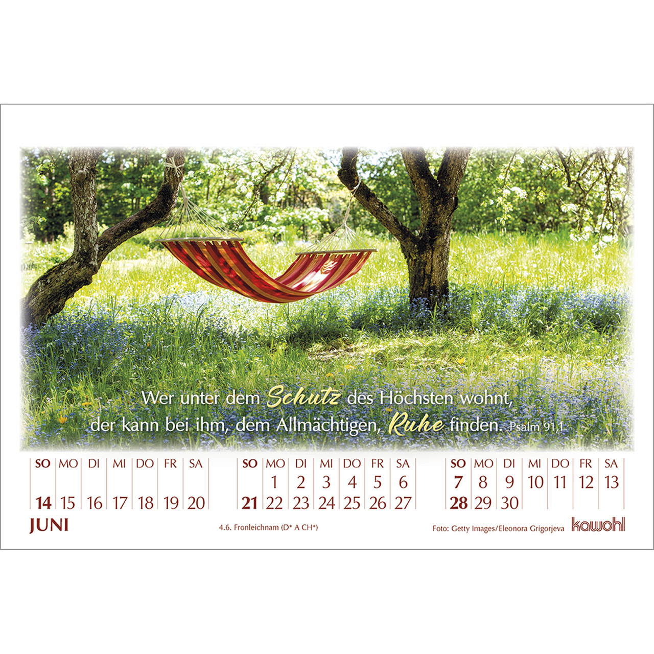 Tischkalender - In seinem Licht 2026