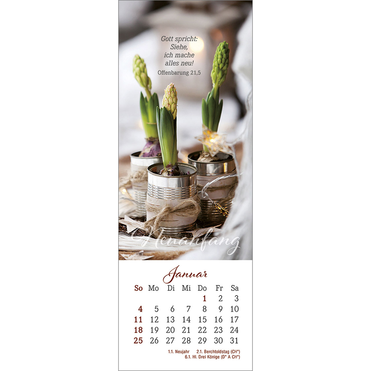 Lesezeichenkalender - Den Augenblick genießen 2026