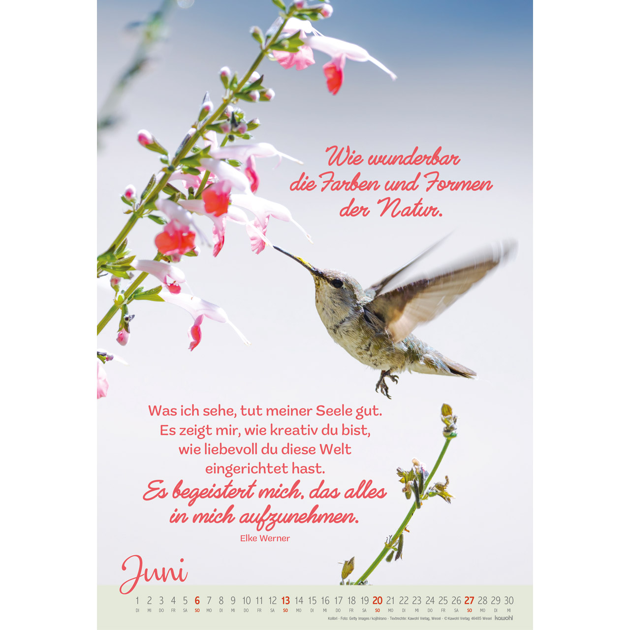 Wandkalender - Beflügelt und getragen 2027