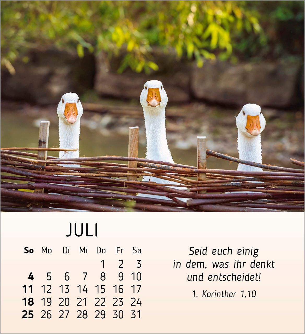 Tischkalender - Meine kleinen Freunde 2027