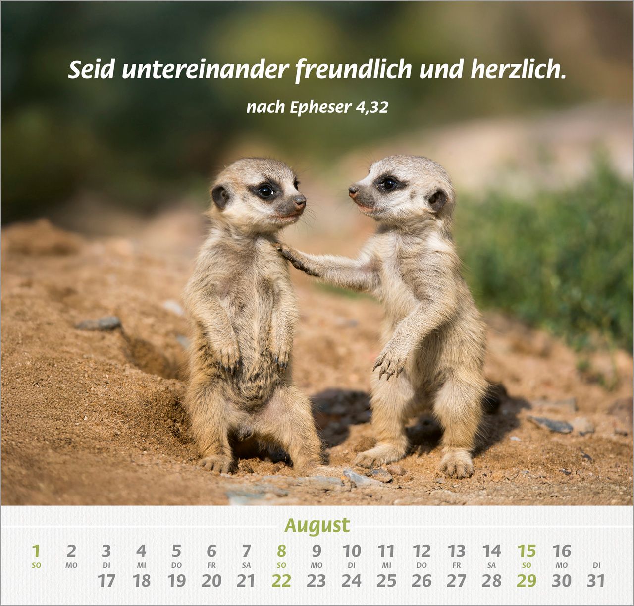 Wandkalender - Ich hab dich gern 2027 Wandkalender