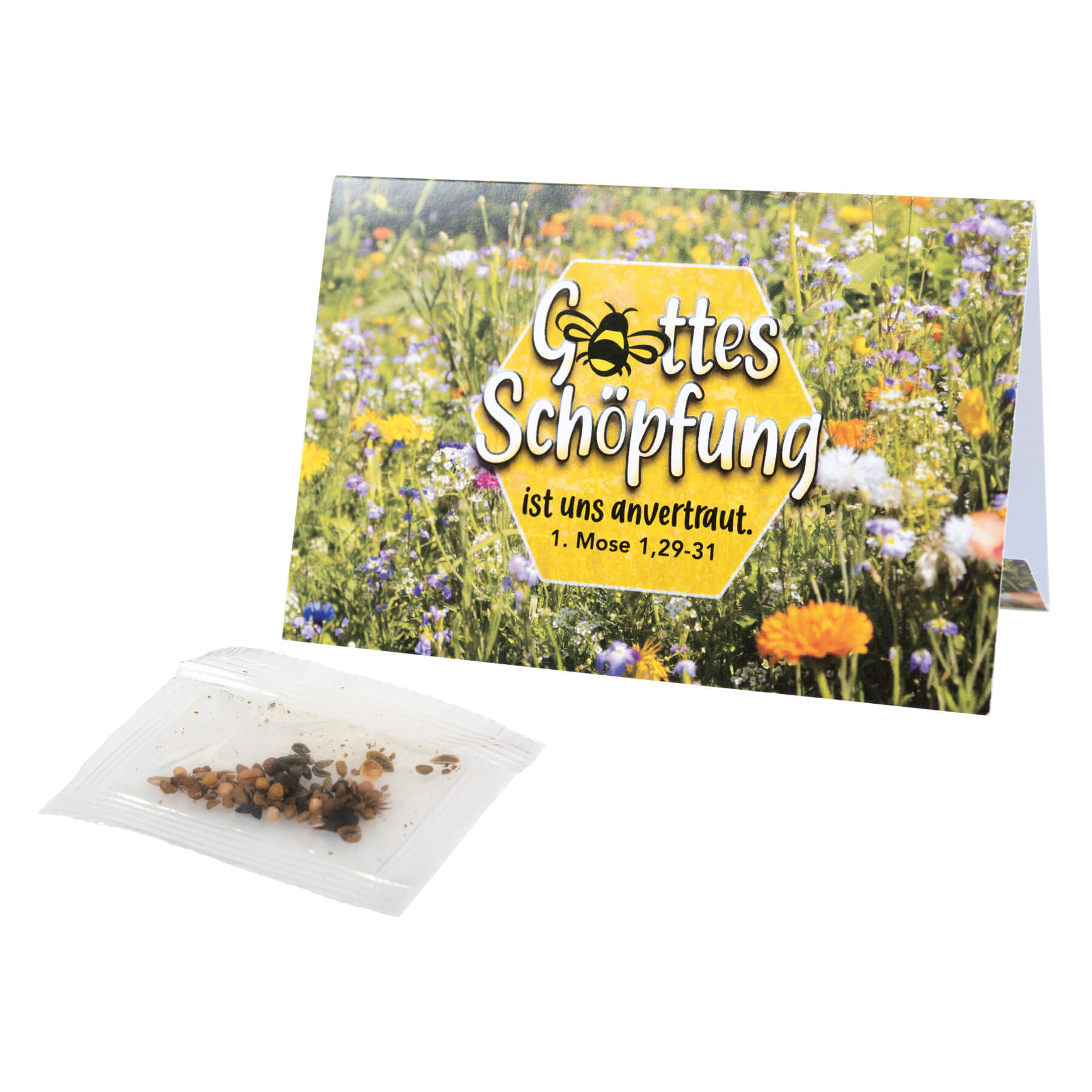 Karte - Klapp-Kärtchen Bienenwiesen-Samenmischung