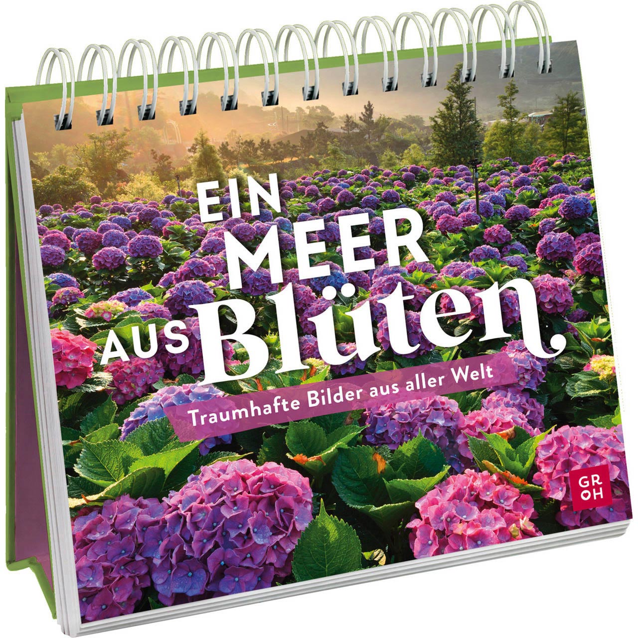 Ein Meer aus Blüten