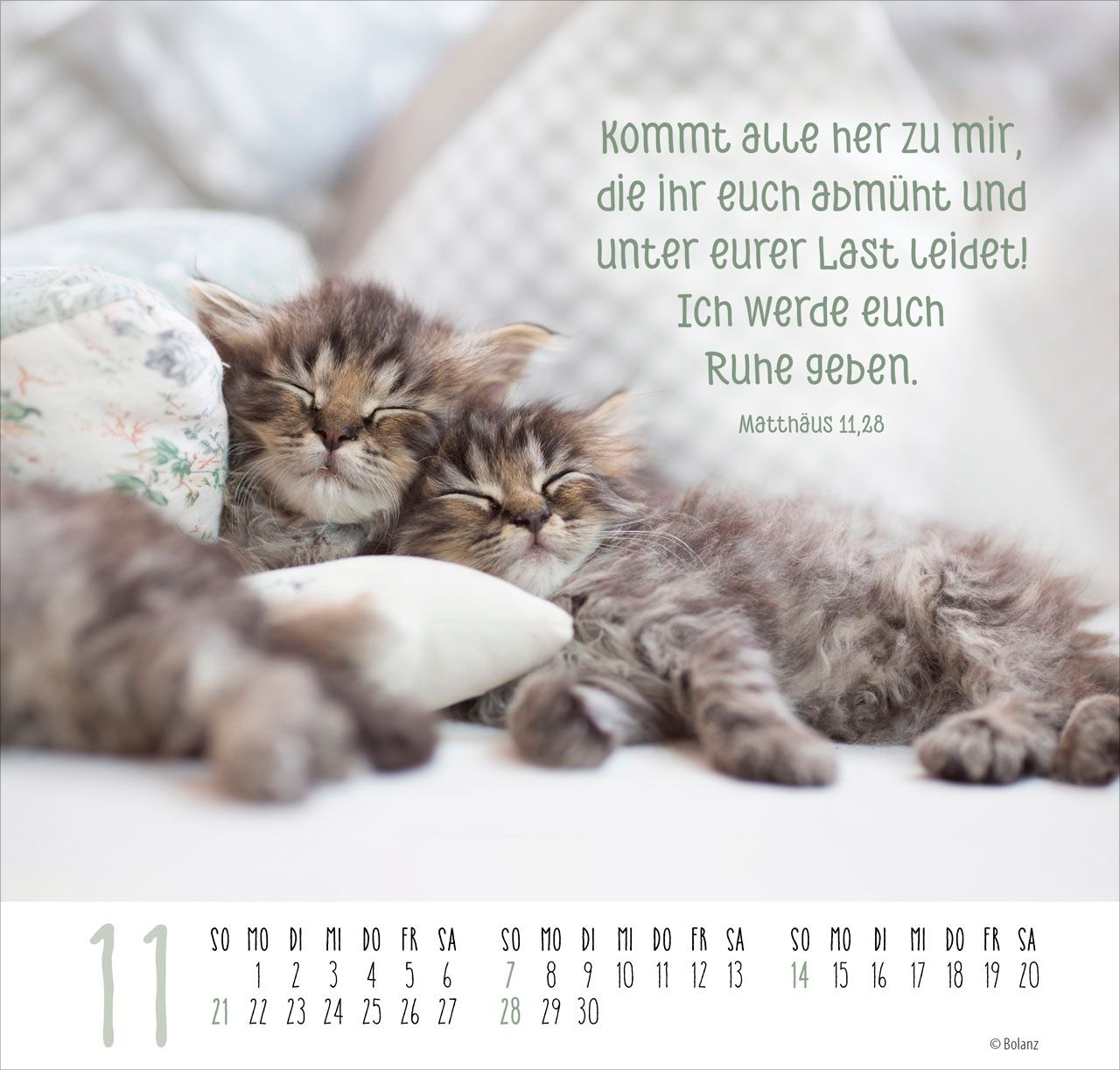 Posterkalender - Beste Freunde 2027