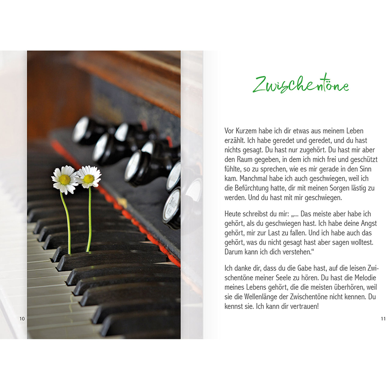 Buch - Berührt - Blüte