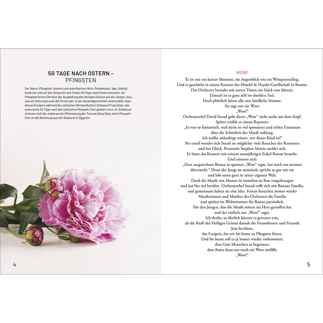 Buch - Zur Feier des Tages - Noten Gänseblümchen