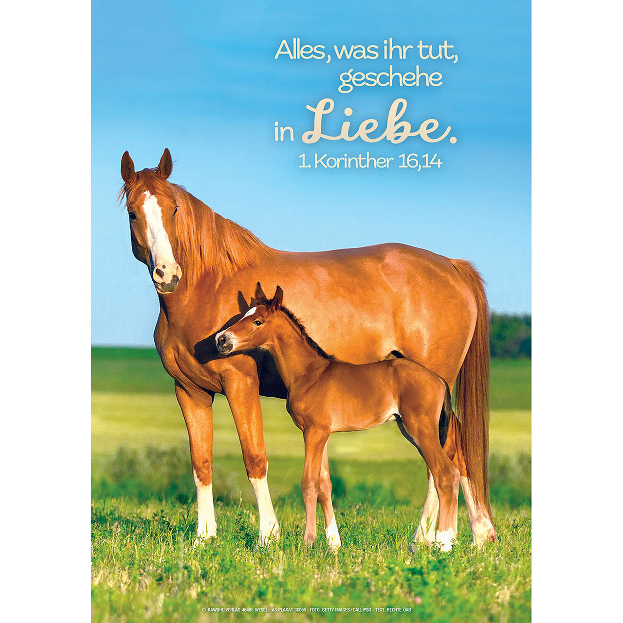 Alles, was ihr tut, geschehe in Liebe