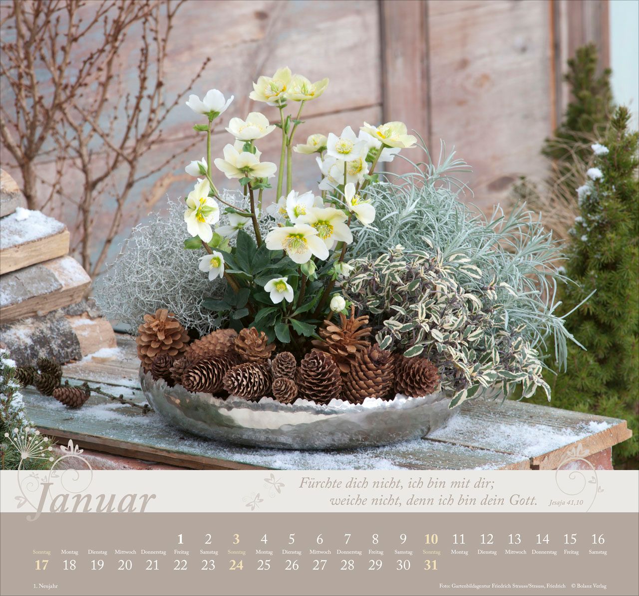 Wandkalender - Im Garten zuhause 2027 Wandkalender