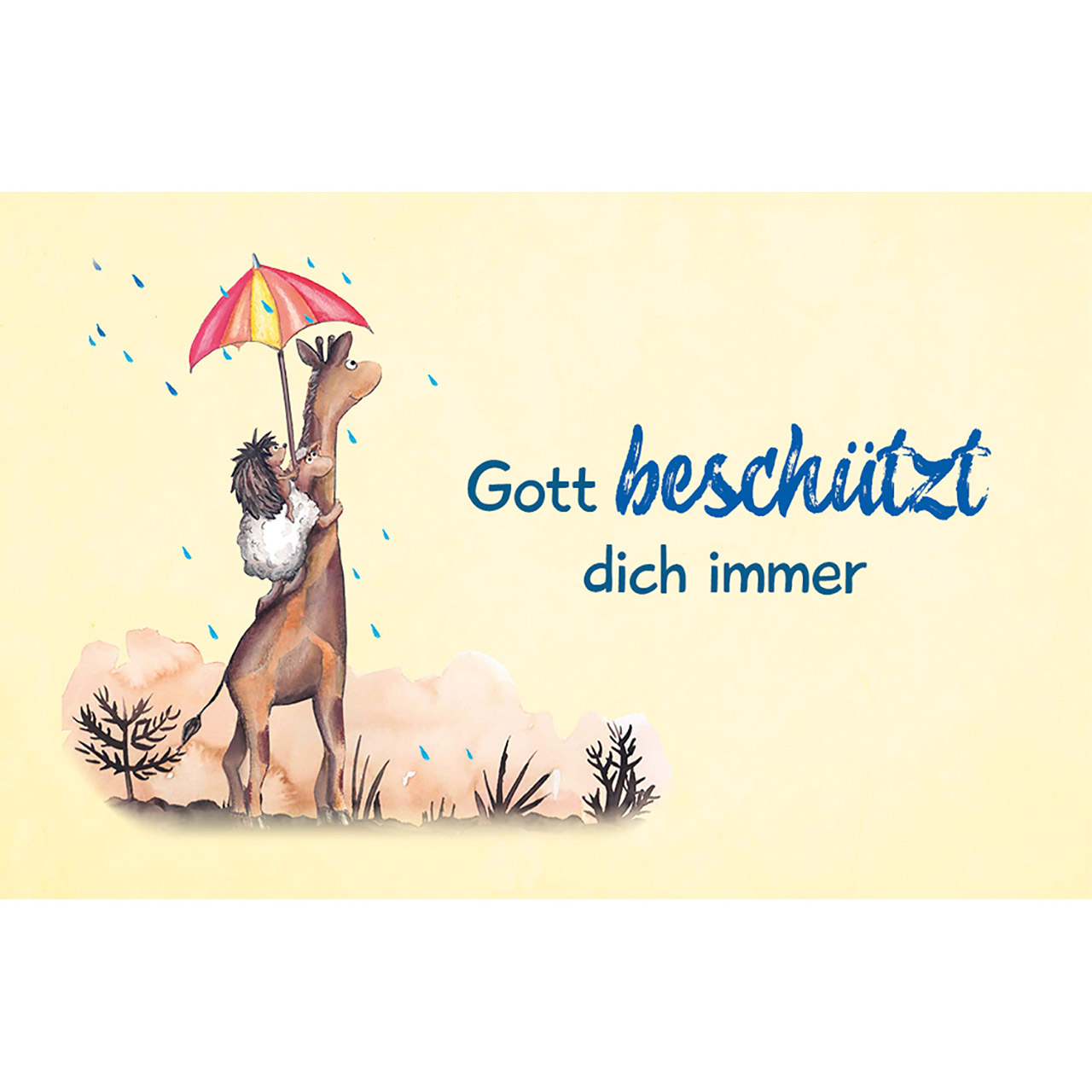 Karten-Box Kunststoff - Entdecke Gottes Liebe - Bibel-Impulse für Kinder - Igel Sonnenblume Herz Schmetterling