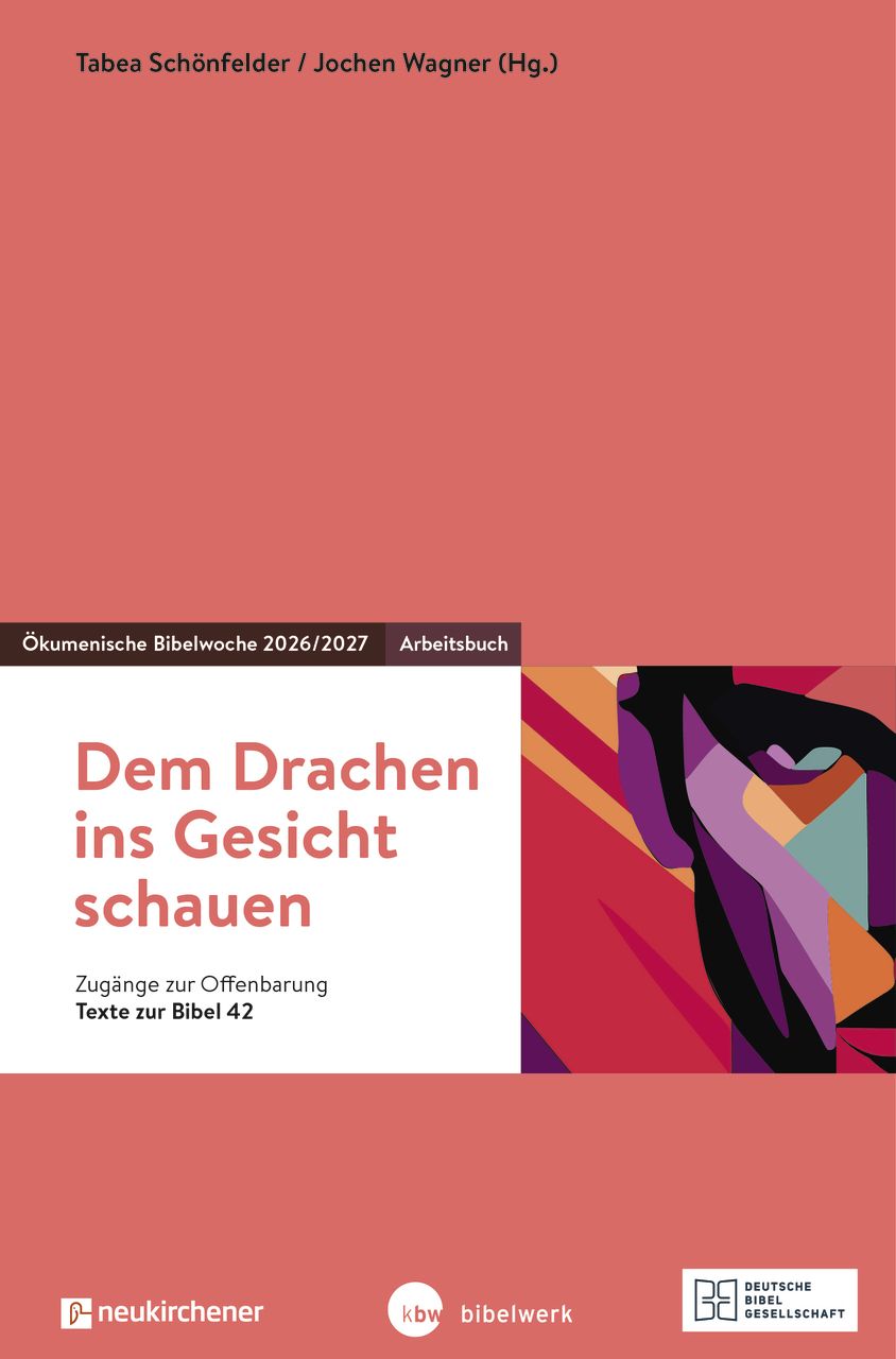 Buch - Dem Drachen ins Gesicht schauen
