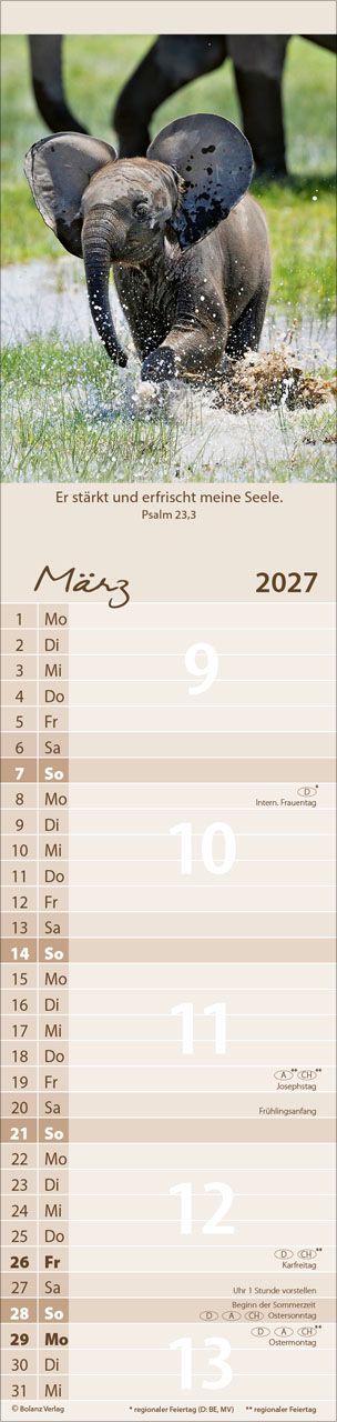 Terminkalender - Für Euch 2027 Streifenterminkalender