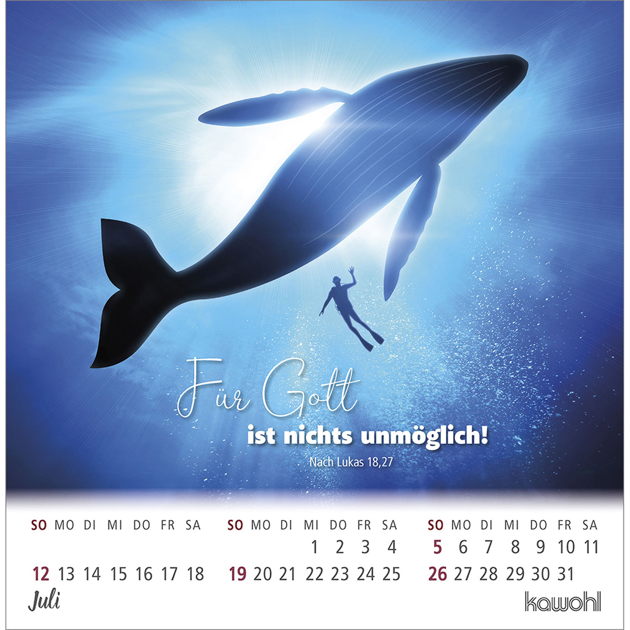Postkartenkalender - Ankommen & leben 2026