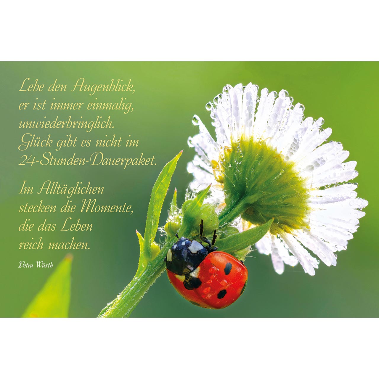 Lebe den Augenblick