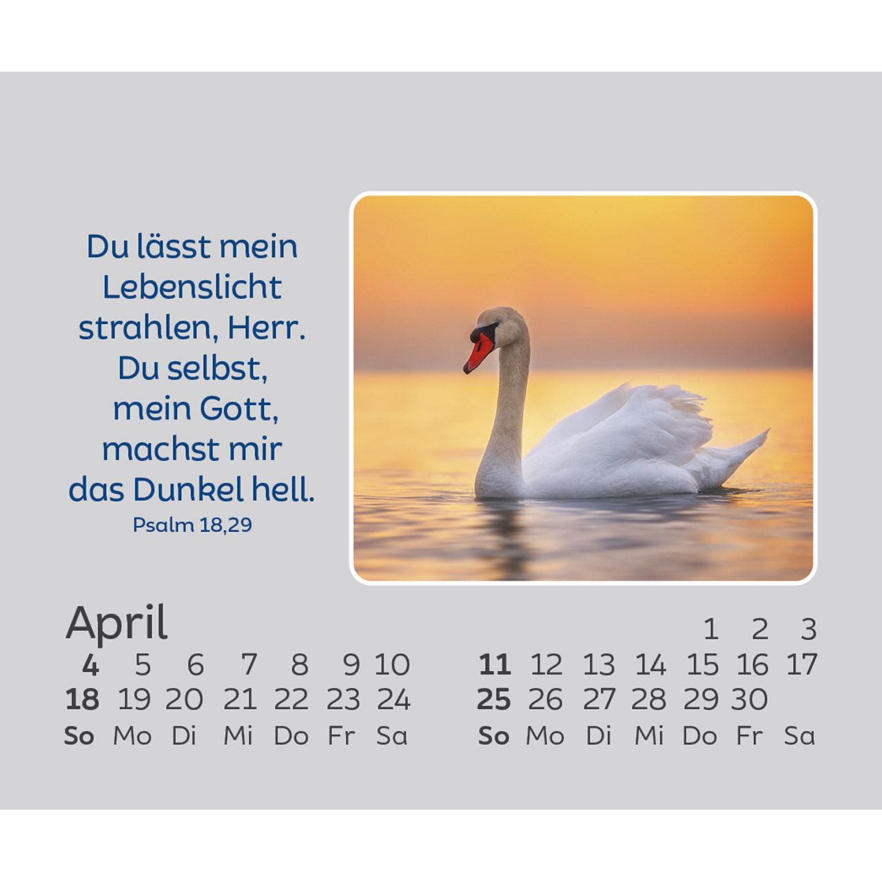 Aufstellkalender - Hoffnung für jeden Tag 2027