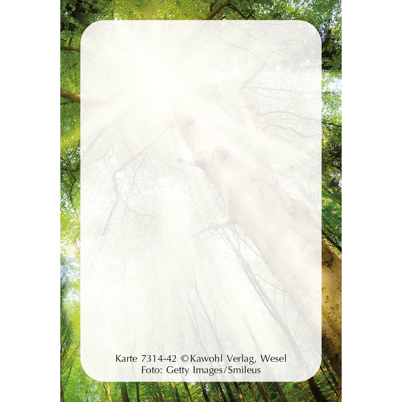 Karten-Box Papier - Lichtgedanken - Heute und morgen in Gott geborgen - Sonnenaufgang Berglandschaft Strahlen Berge