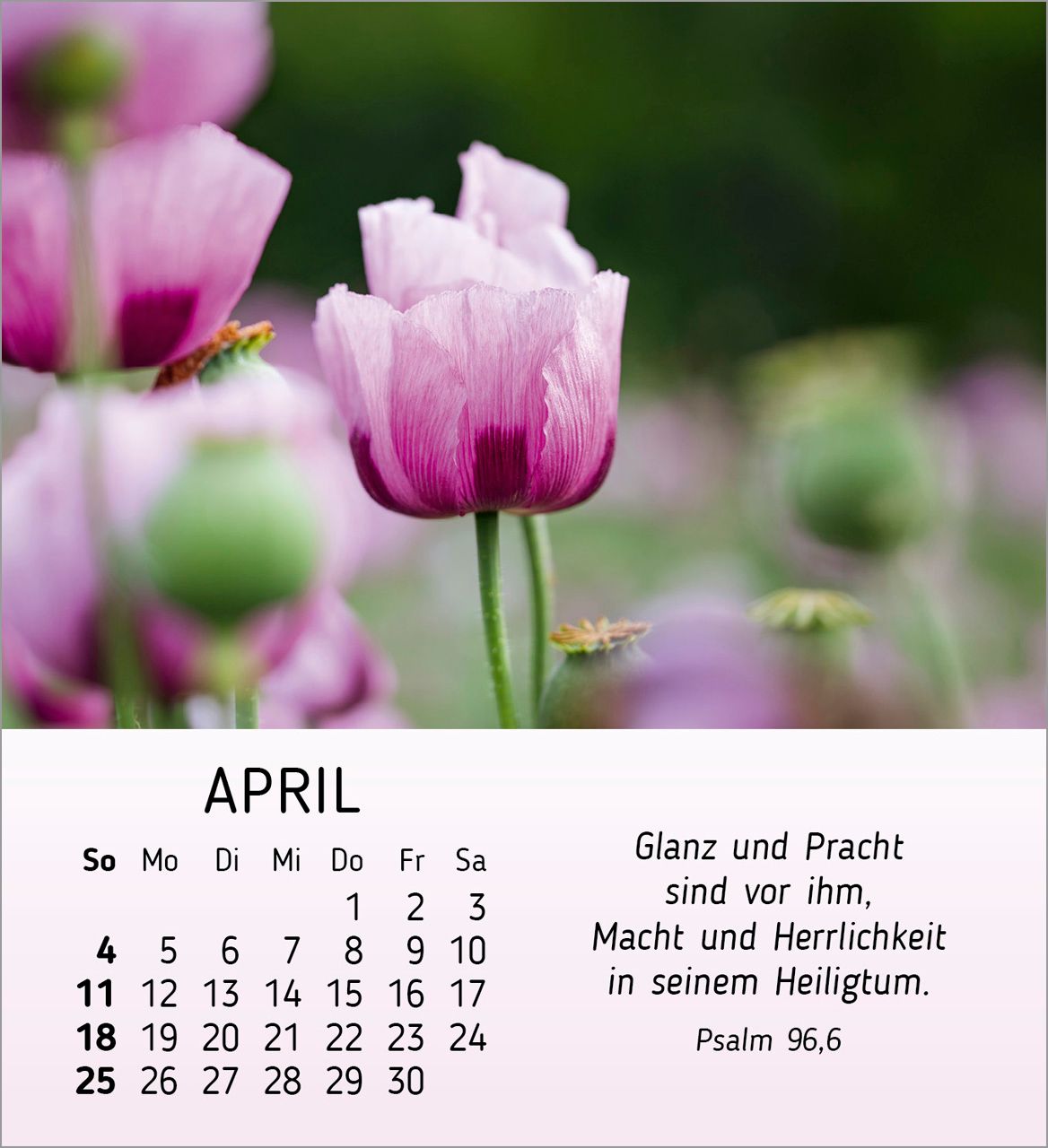Tischkalender - Ich wünsch dir Freude 2027
