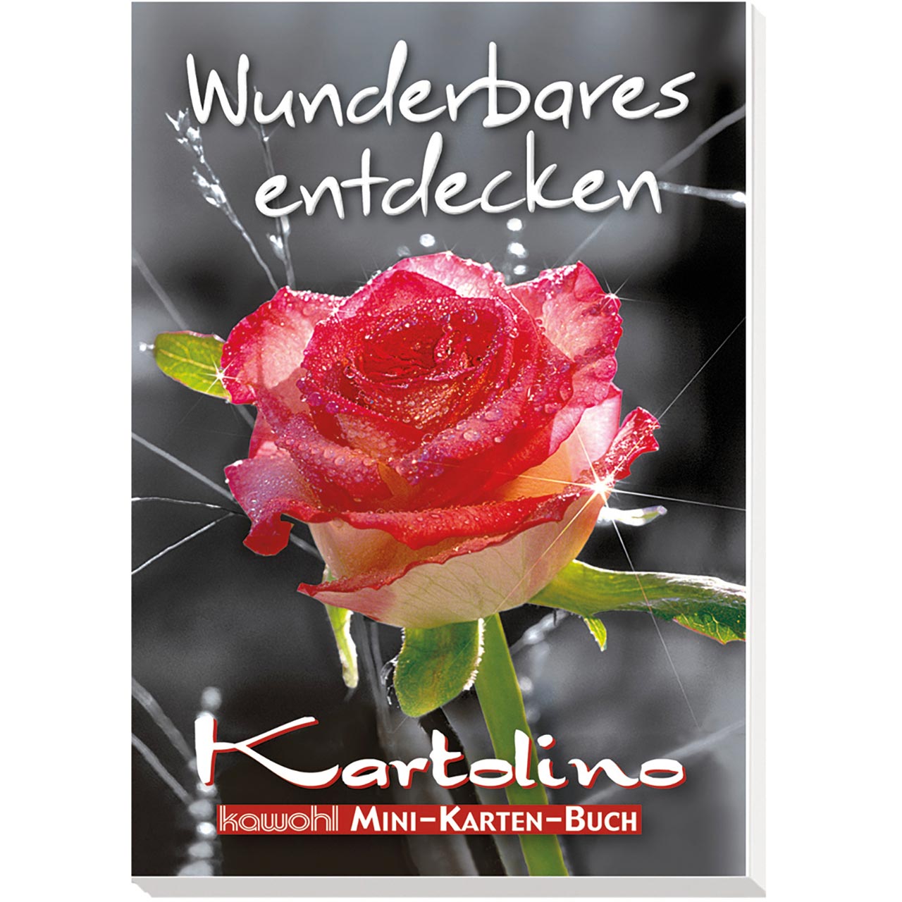 Wunderbares entdecken
