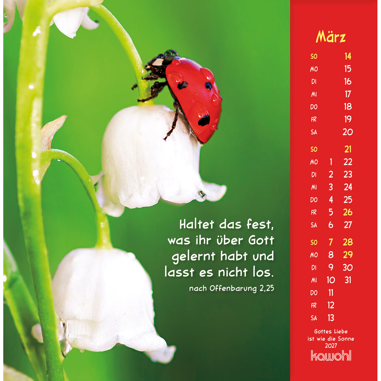 Postkartenkalender - Gottes Liebe ist wie die Sonne 2027