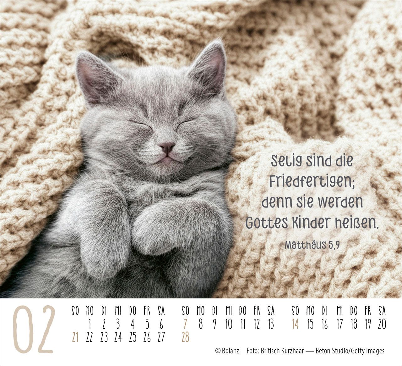 Aufstellkalender - Katzen 2027