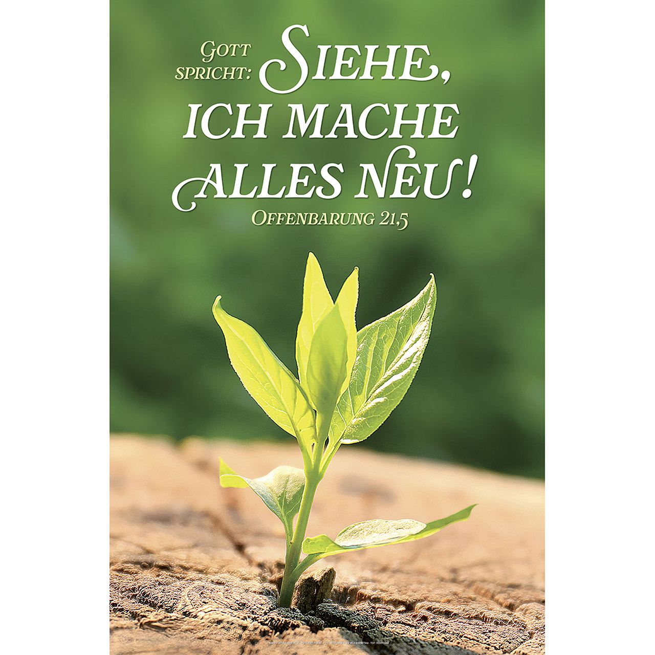 Gott spricht: Siehe, ich mache alles neu! Gott spricht: Siehe, ich mache alles neu!