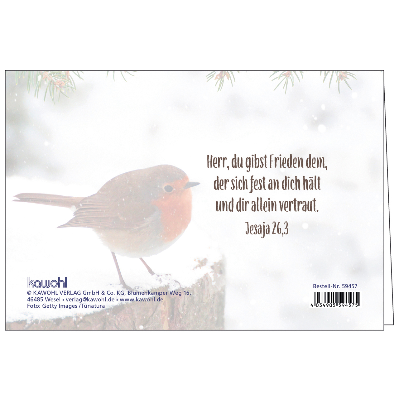 Faltkarte - Gesegnete Weihnachten - Rotkehlchen Schnee Zweige Baumstamm