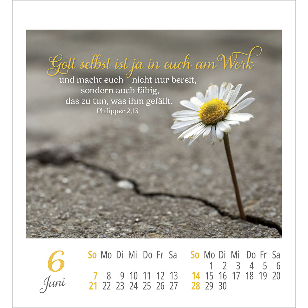 Aufkleberkalender - Lieblingsworte umgeben dich 2026