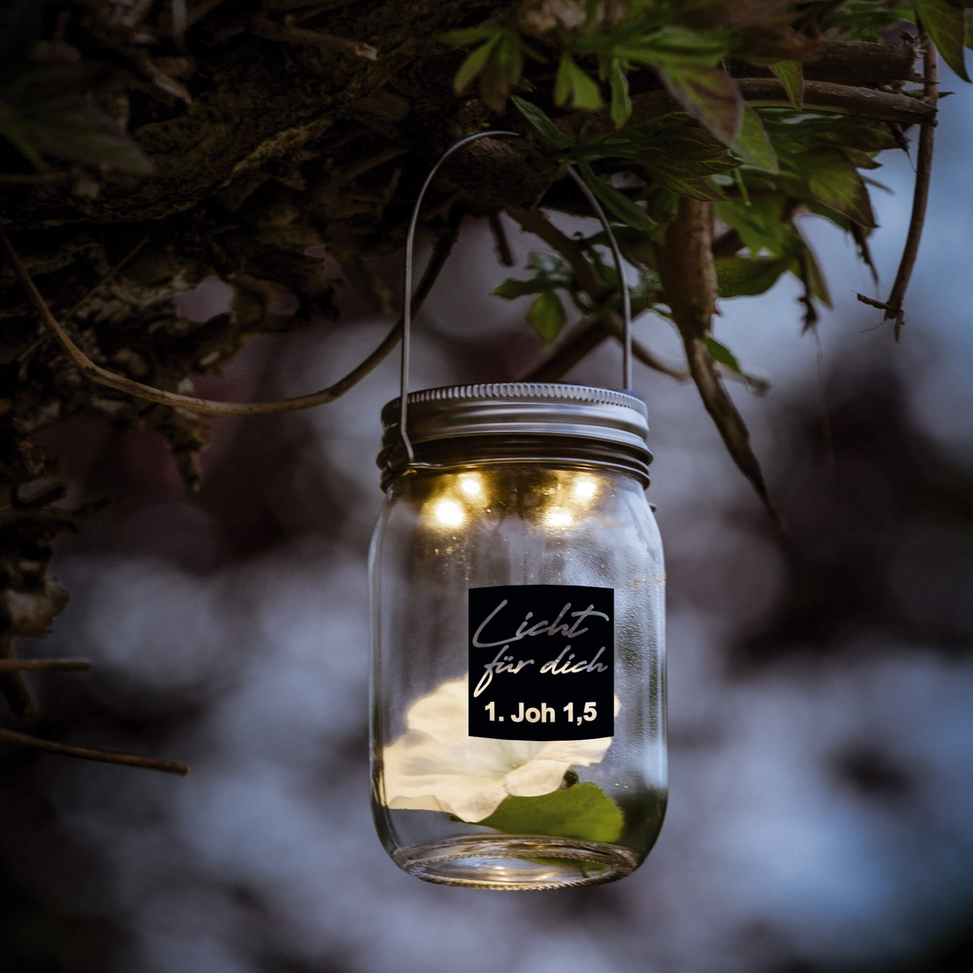 Dekoration - Solarlampe aus Glas - Solarlampe Glas Blume