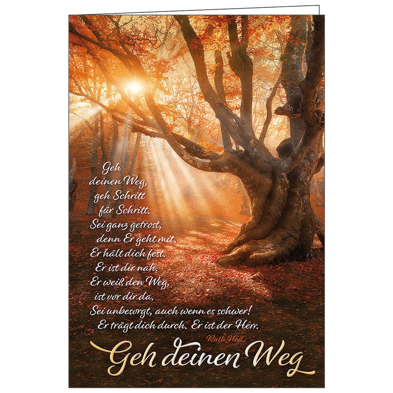 Geh deinen Weg