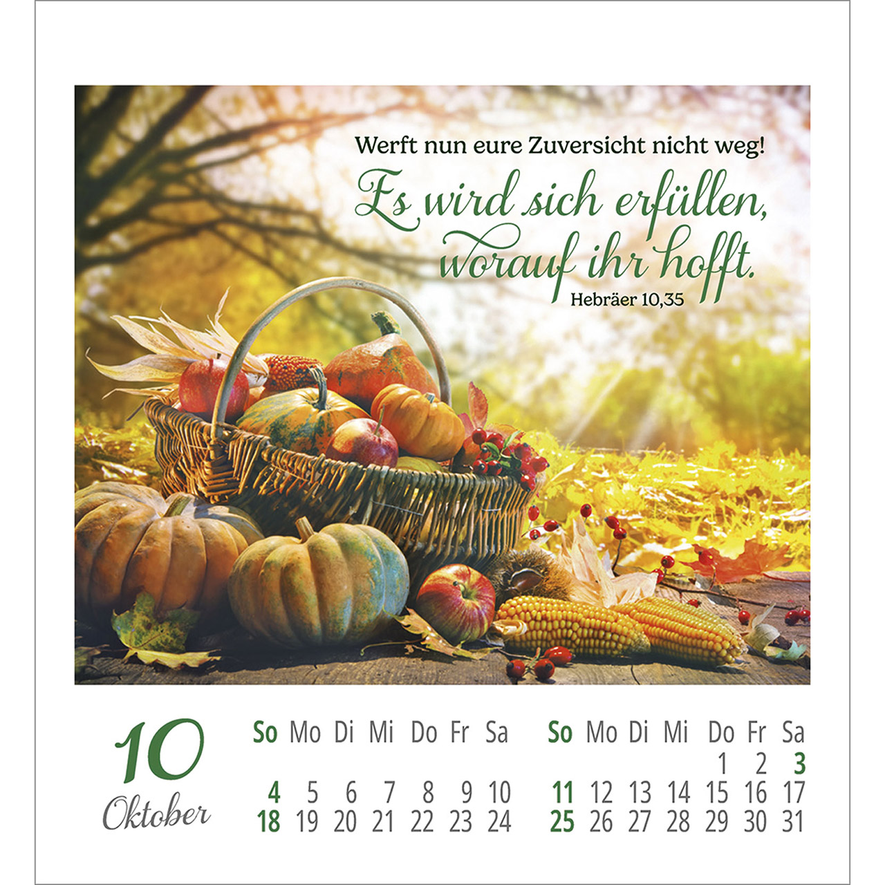 Aufkleberkalender - Lieblingsworte umgeben dich 2026