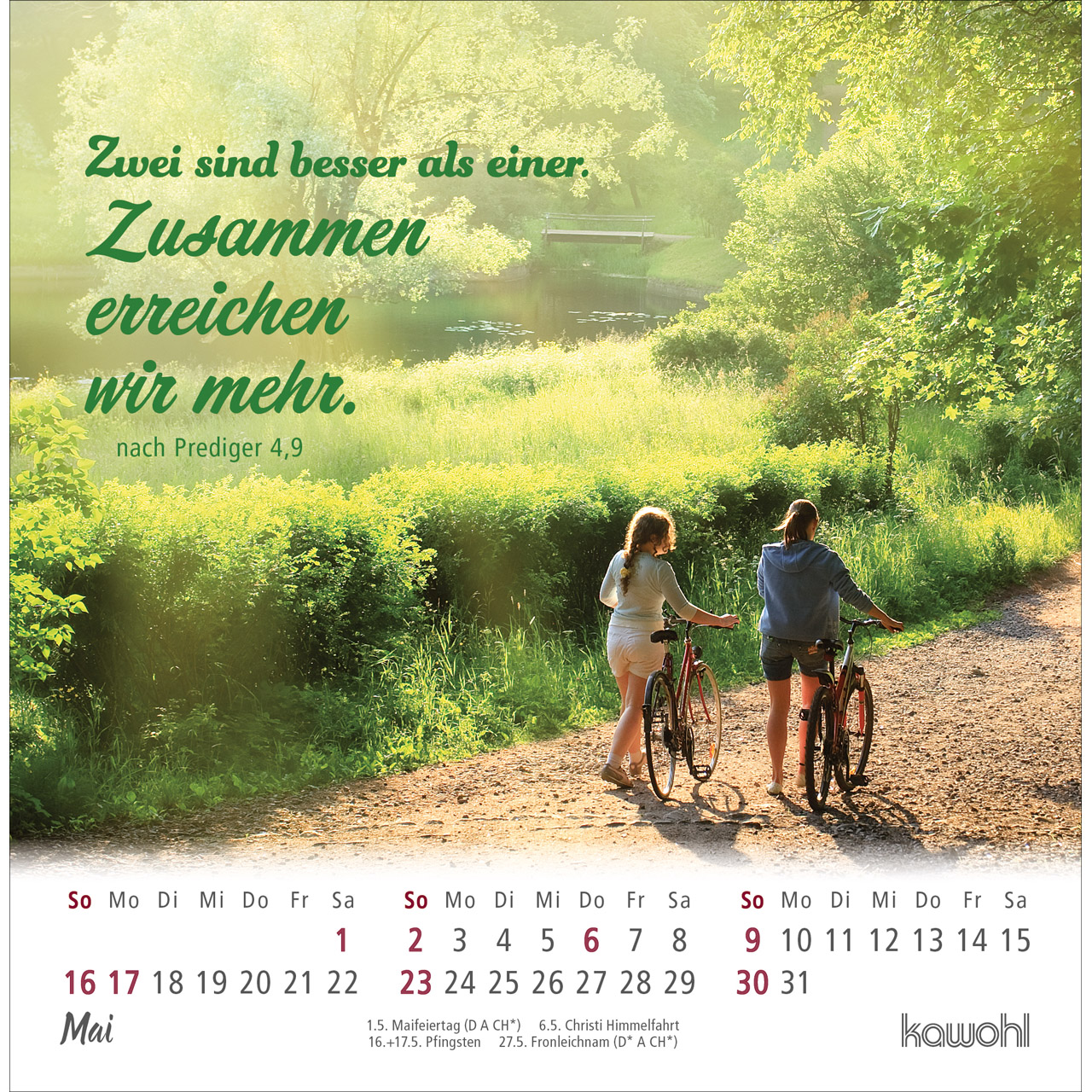Postkartenkalender - Ankommen & leben 2027