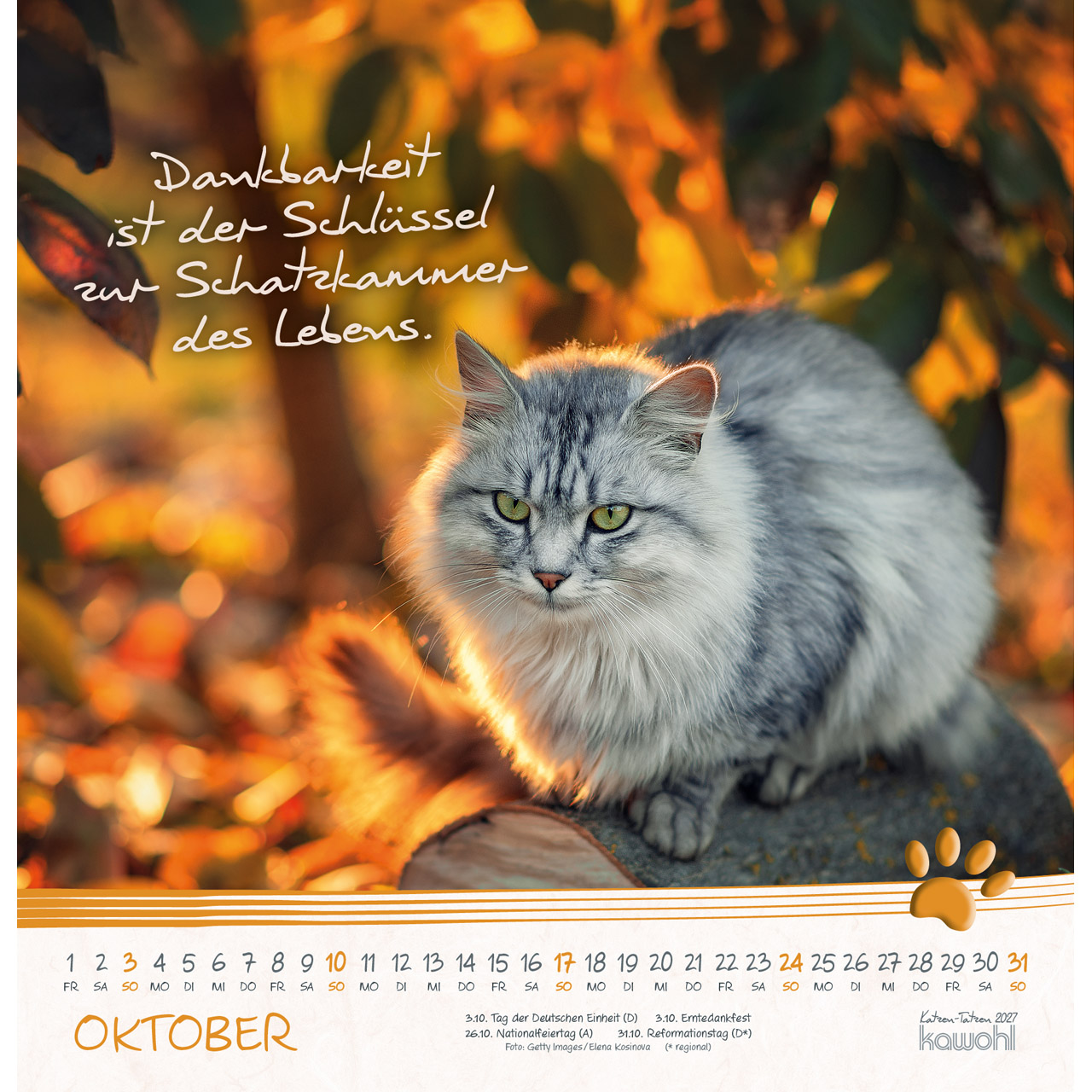 Wandkalender - Katzen-Tatzen 2027