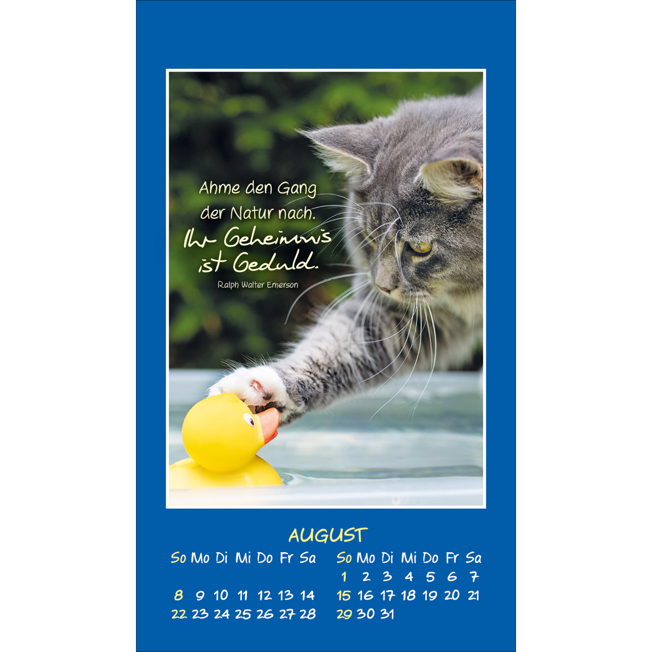 Aufkleberkalender - Mini Katzen-Tatzen 2027 - Katzen
