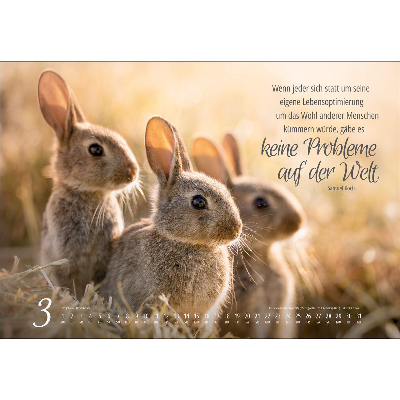 Wandkalender - Real Wildlife 2027