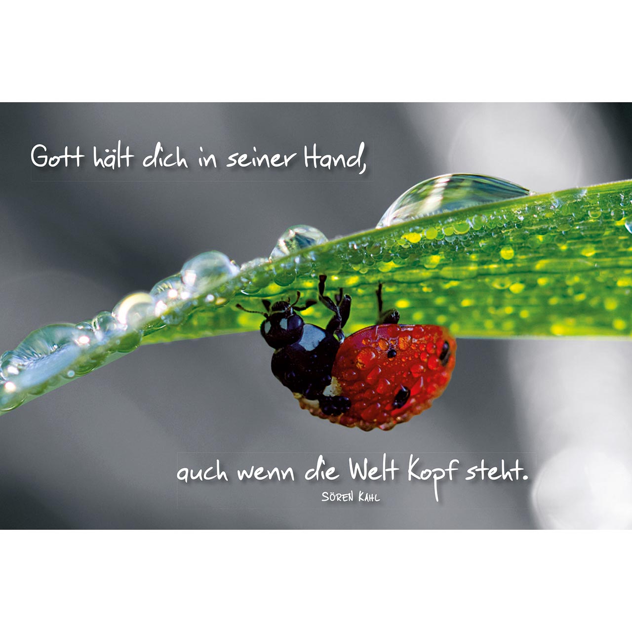 Gott hält dich in seiner Hand