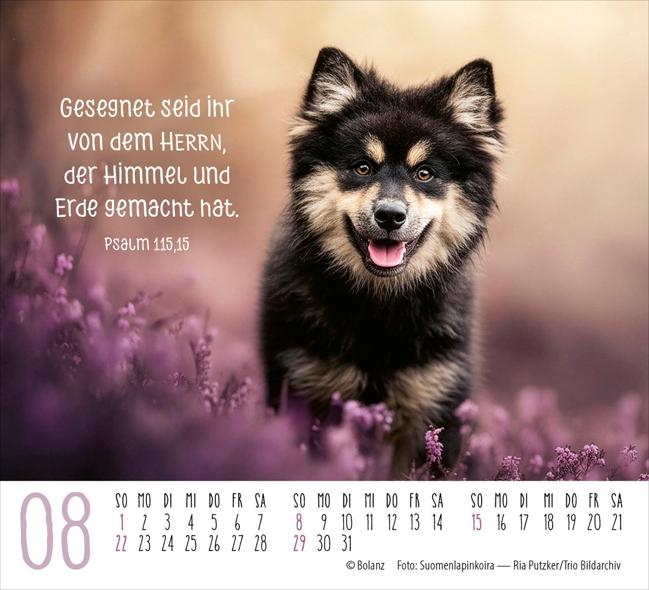 Aufstellkalender - Hunde 2027