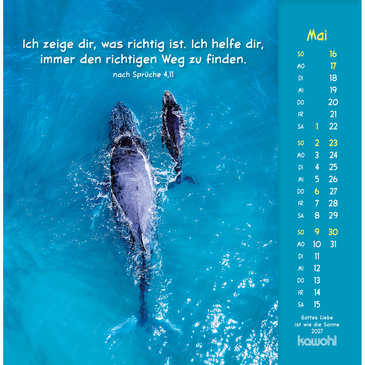 Postkartenkalender - Gottes Liebe ist wie die Sonne 2027