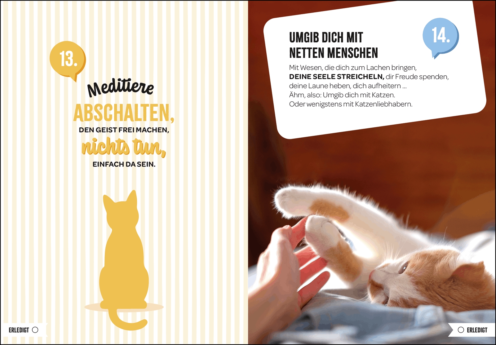 Geschenkbuch - 100 Dinge, die man von einer Katze lernen kann