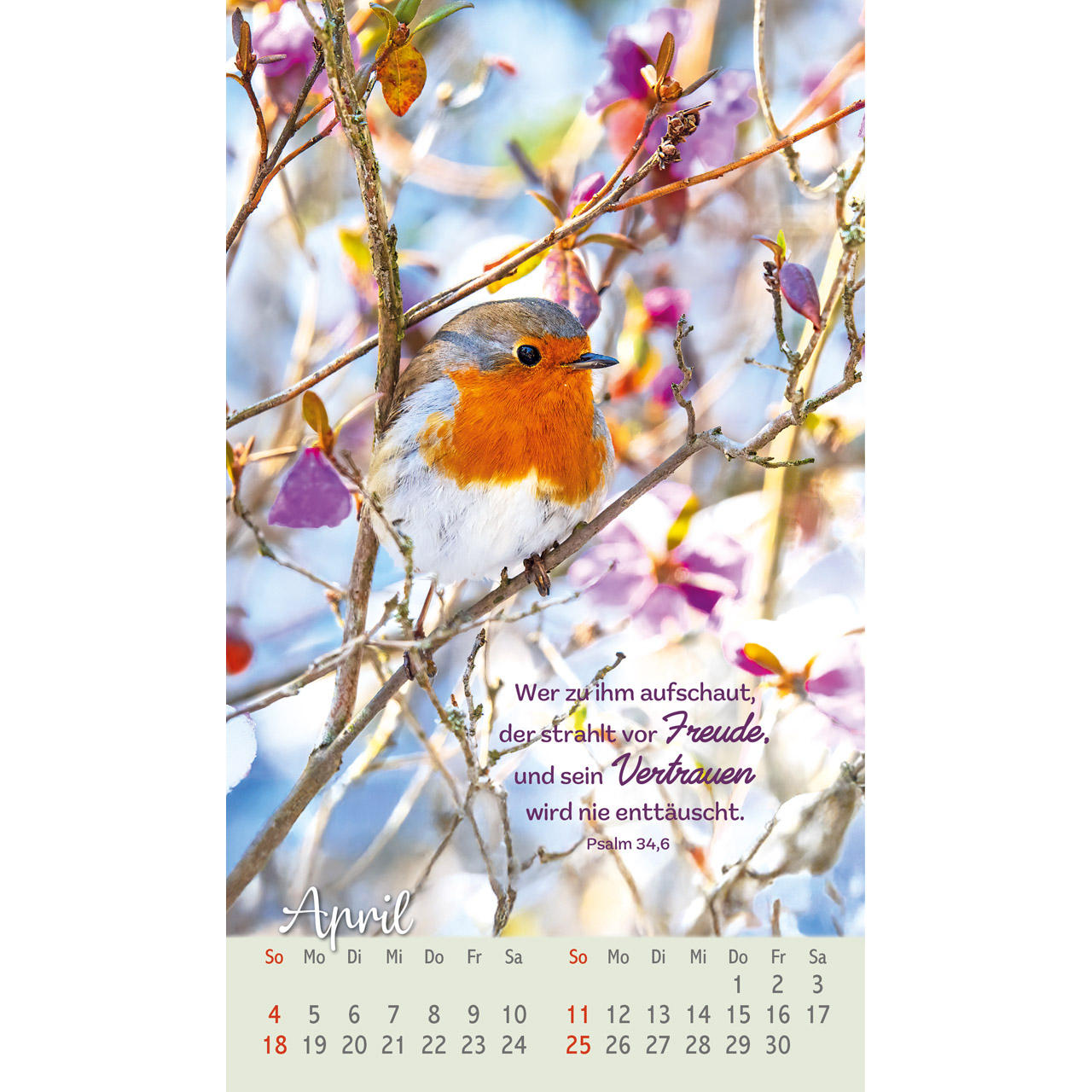 Postkartenkalender - Beflügelt und geborgen 2027