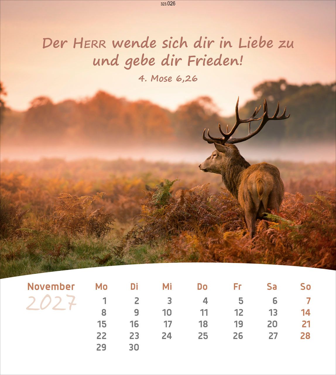 Postkartenkalender - Leben für Dich 2027 - Deutsch