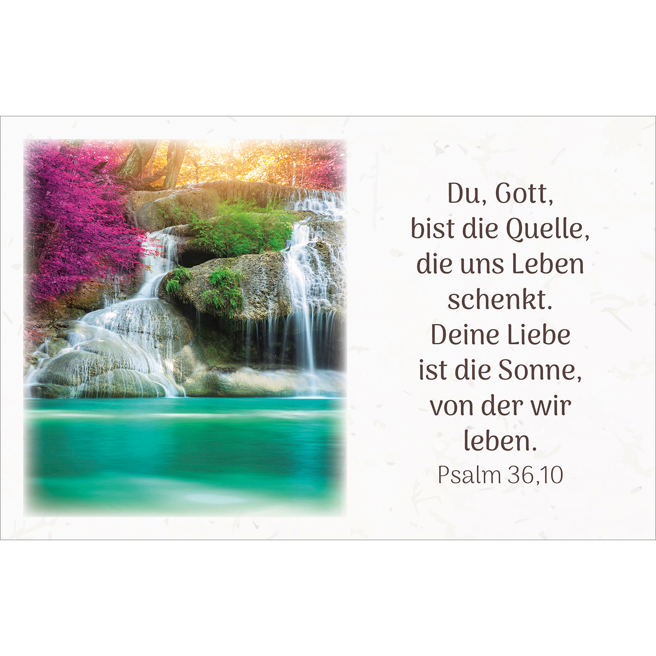 Karten-Box Kunststoff - Himmlische Zusagen - Wald Lavendel Bäume Weg