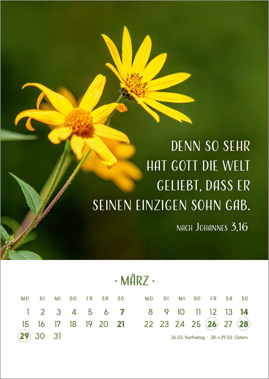 Tischkalender - Zarte Blumengrüße 2027